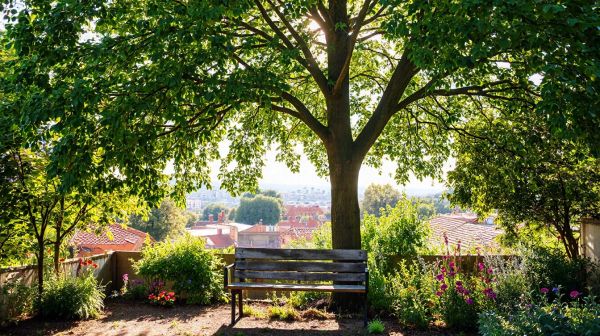 Top 5 astuces pour réduire le coût de sa mutuelle senior à Toulouse